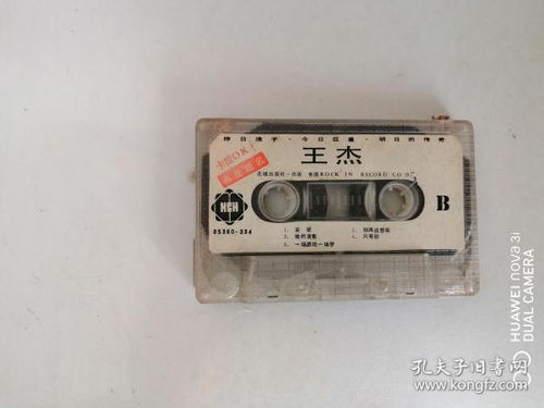 從唱片到網(wǎng)絡(luò)視聽(tīng) 音像制品收藏與傳播的演變